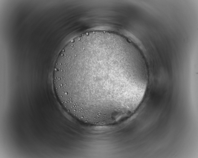 X0000089901425200707121841