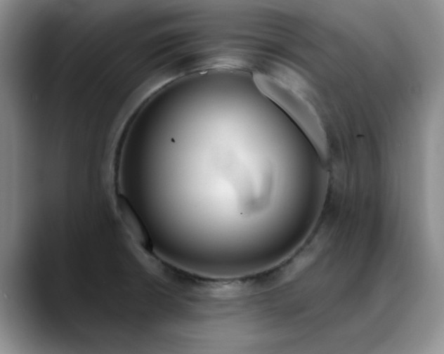 X0000089901426200707121841
