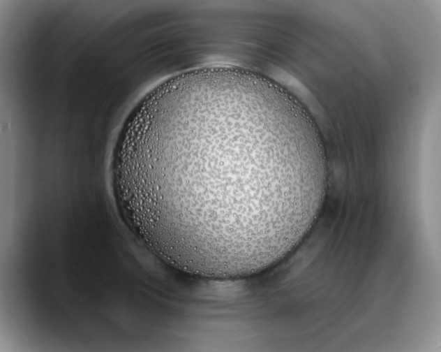 X0000089901427200707121841