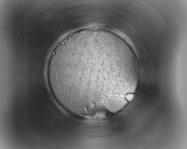 X0000089901429200707121841