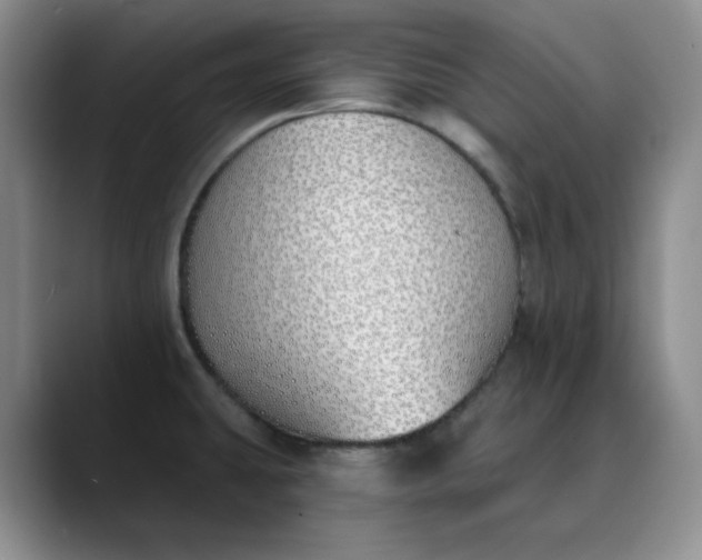 X0000089901431200707121841