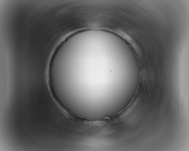 X0000089901432200707121841
