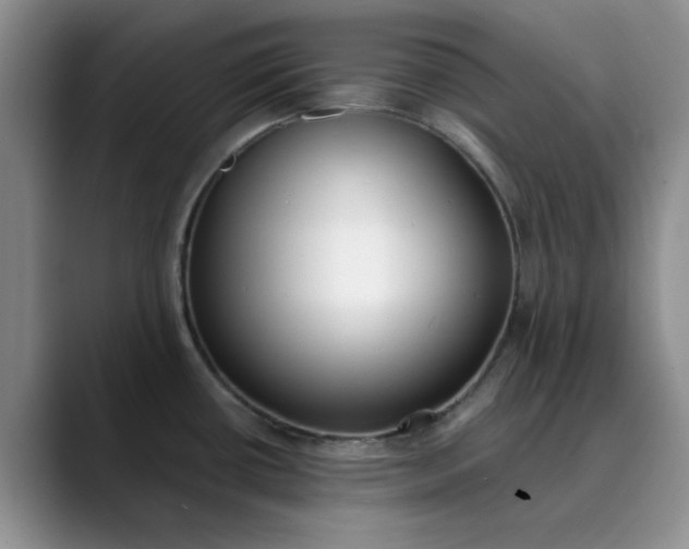 X0000089901434200707121841