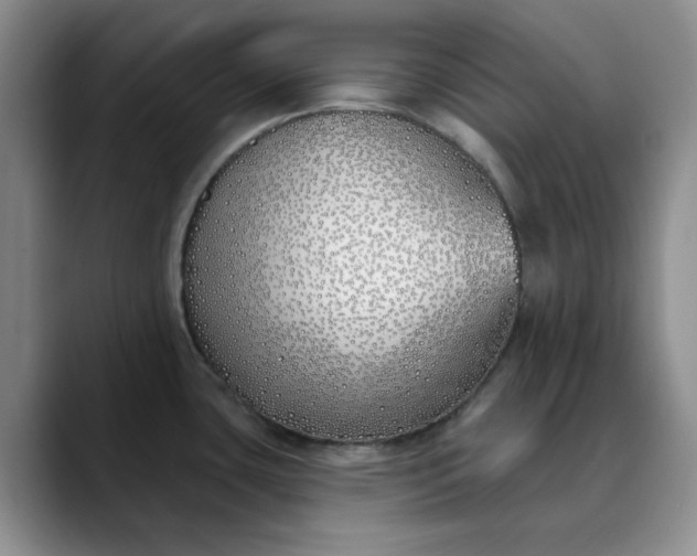 X0000089901435200707121841