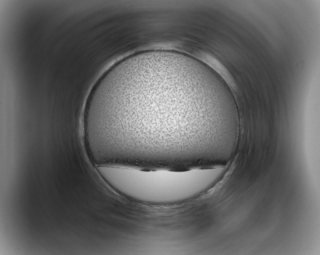 X0000089901436200707121841