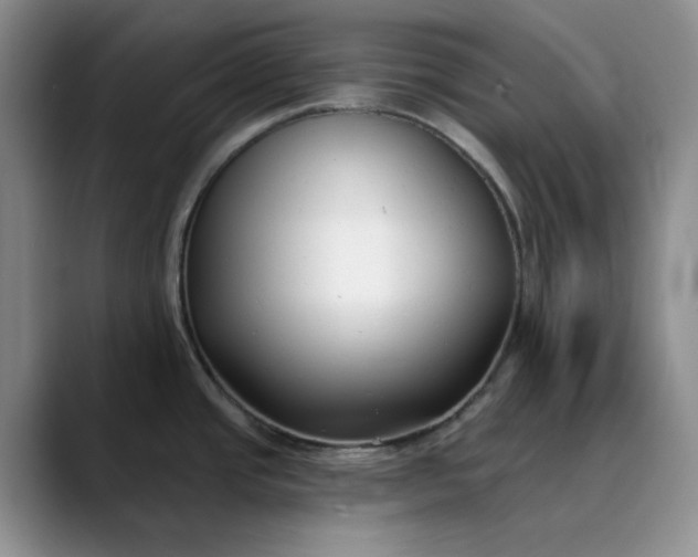 X0000089901437200707121841