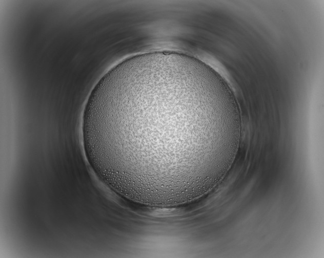 X0000089901439200707121841