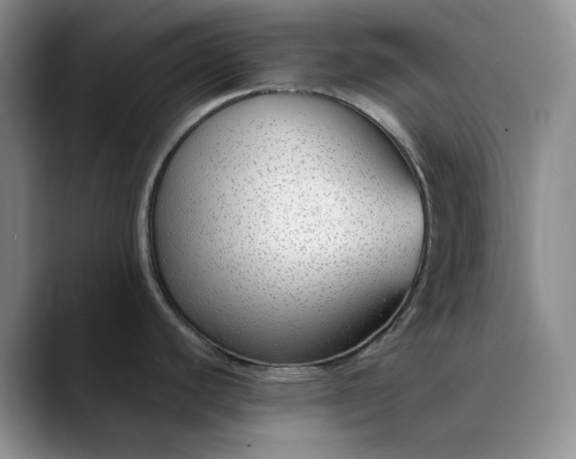 X0000089901440200707121841