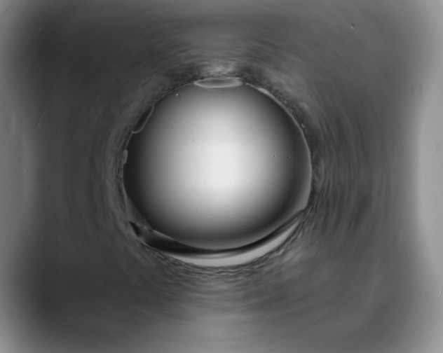 X0000089901441200707121840