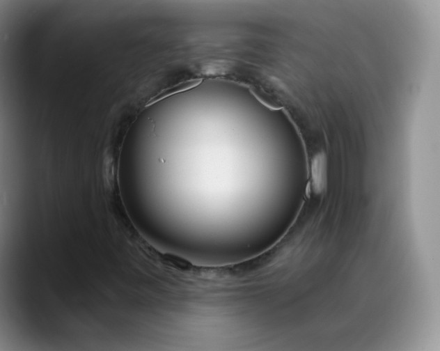 X0000089901443200707121840