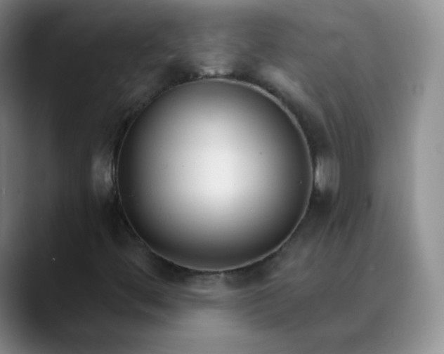 X0000089901444200707121840