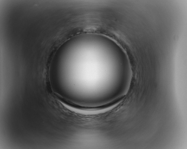 X0000089901445200707121840