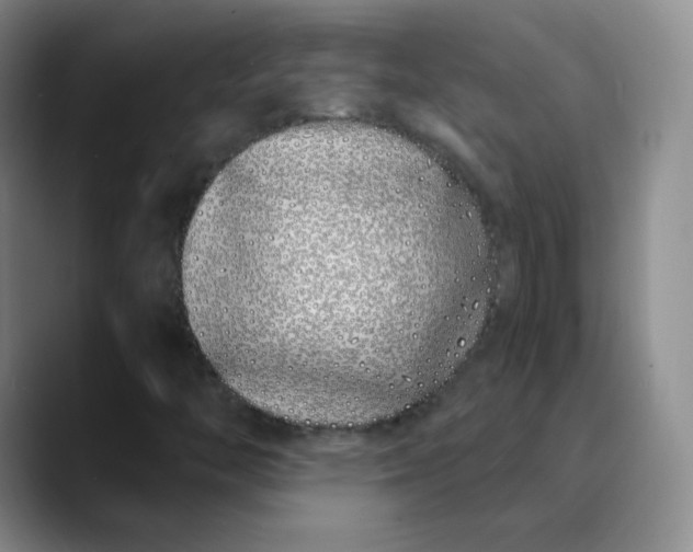 X0000089901446200707121840