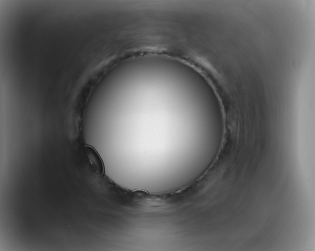 X0000089901448200707121840