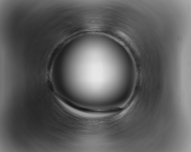 X0000089901449200707121840