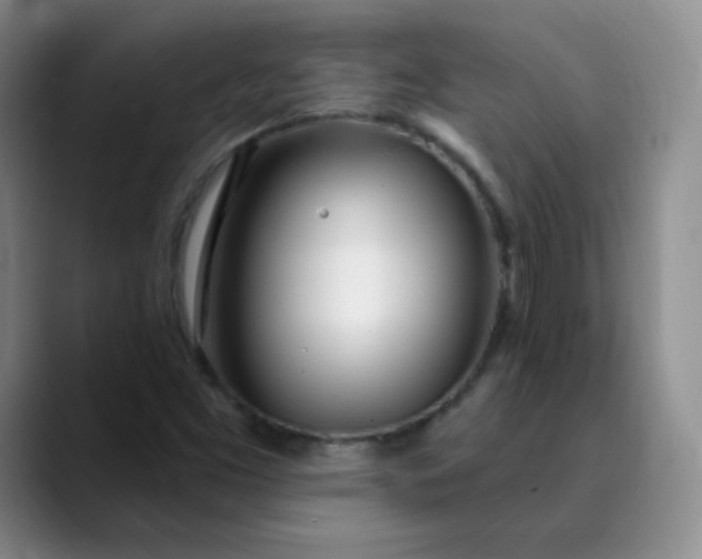 X0000089901453200707121840