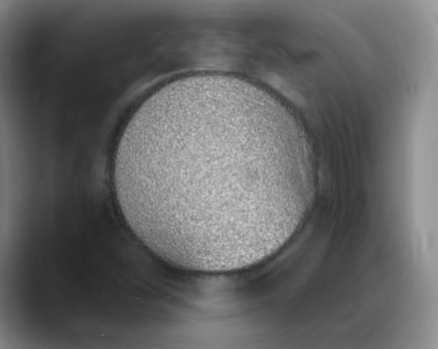 X0000089901454200707121840