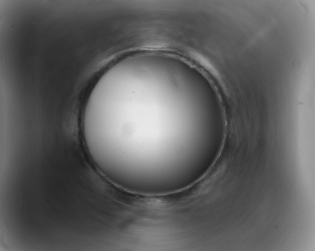 X0000089901456200707121840