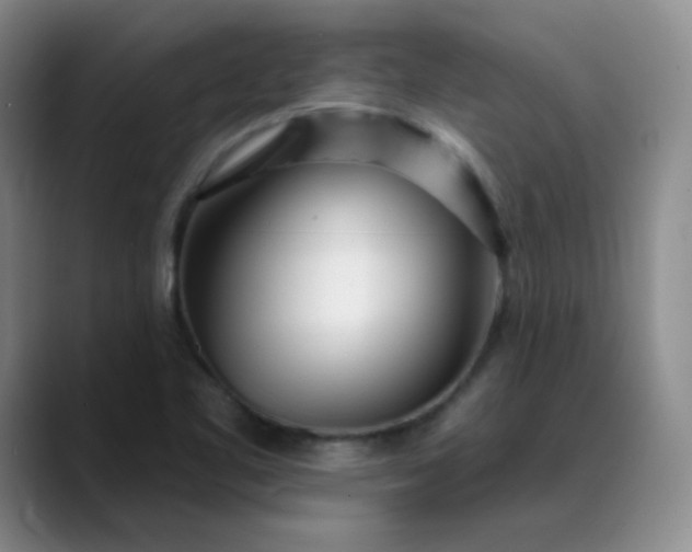 X0000089901461200707121840