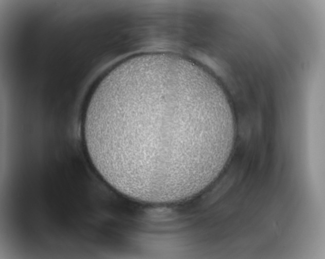 X0000089901462200707121840