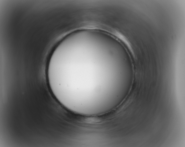 X0000089901464200707121840