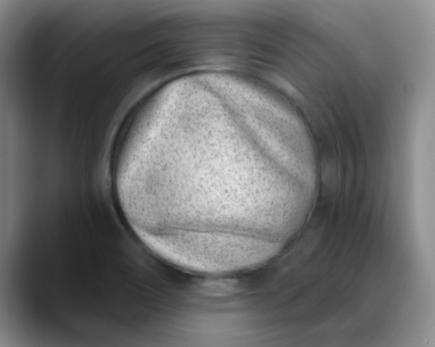 X0000089901466200707121840