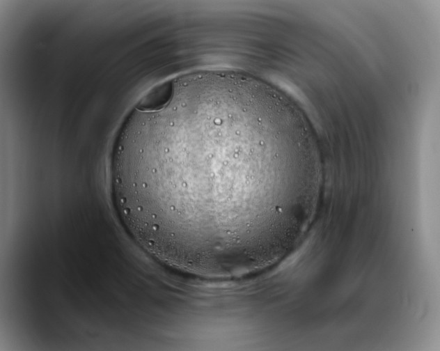 X0000089901467200707121840
