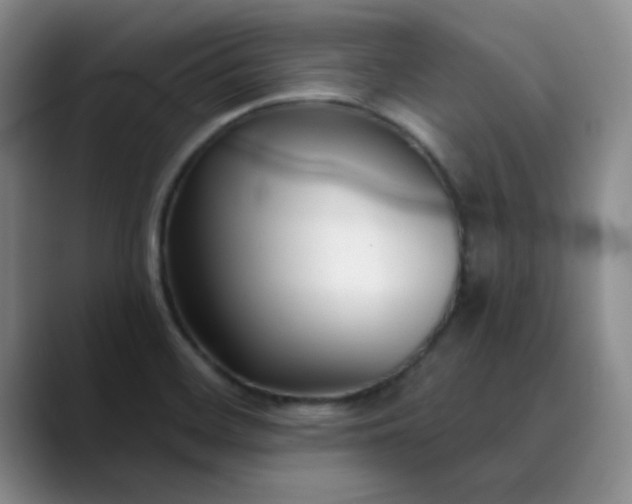 X0000089901468200707121840