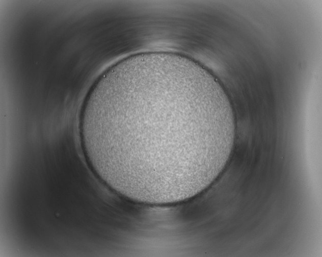 X0000089901470200707121840