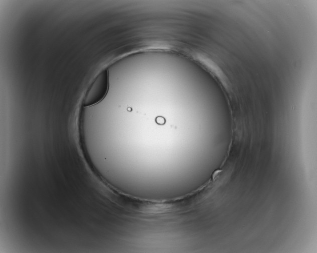 X0000089901475200707121840