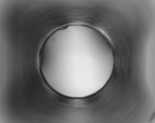 X0000089901476200707121840