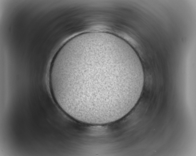 X0000089901478200707121840