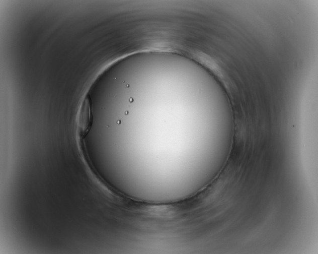X0000089901479200707121840