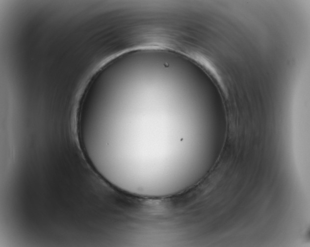 X0000089901480200707121840