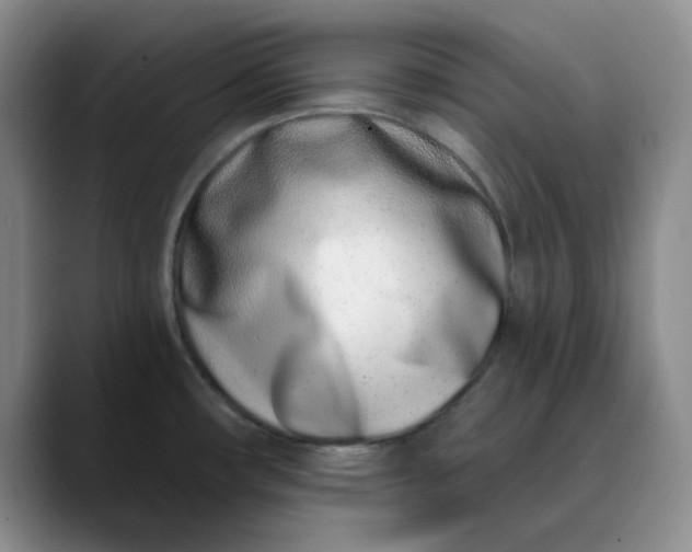 X0000089901482200707121840