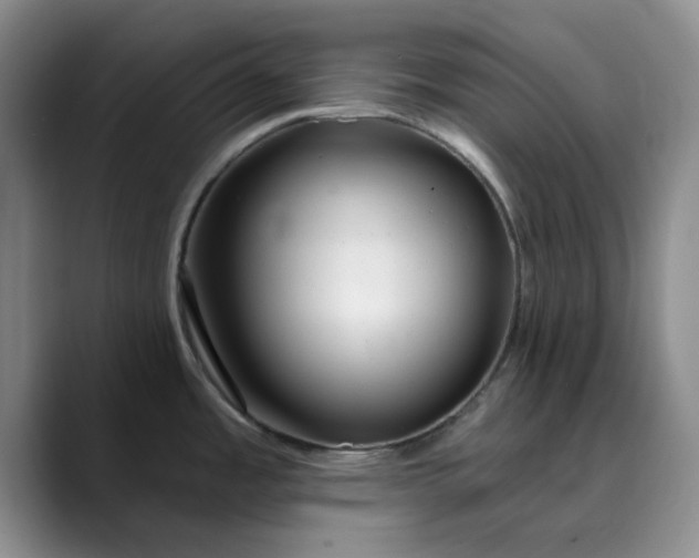 X0000089901485200707121840