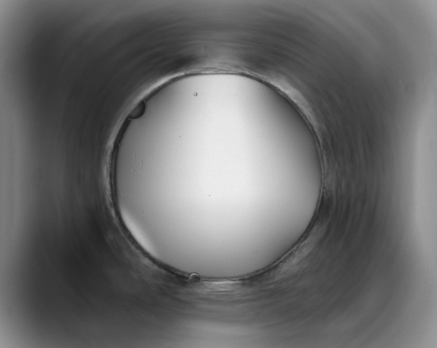 X0000089901486200707121840