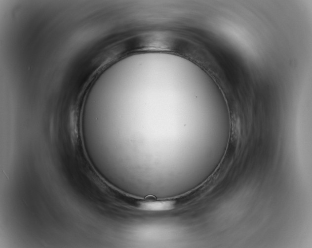 X0000089901487200707121840