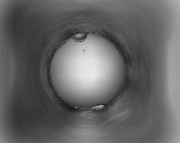 X0000089901489200707121839