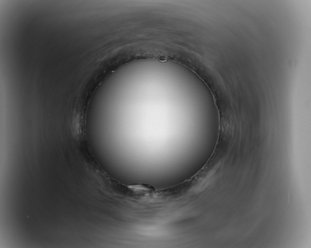 X0000089901490200707121839