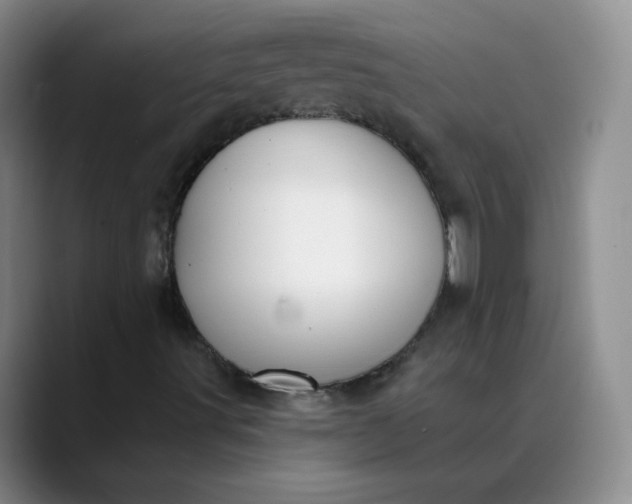X0000089901491200707121839