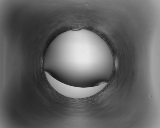 X0000089901492200707121839