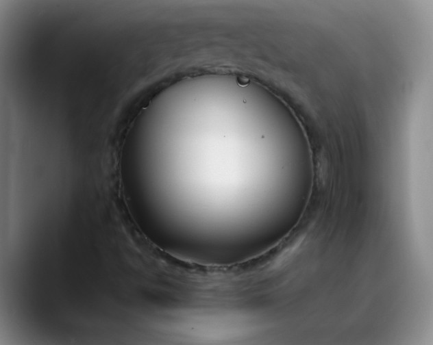 X0000089901494200707121839