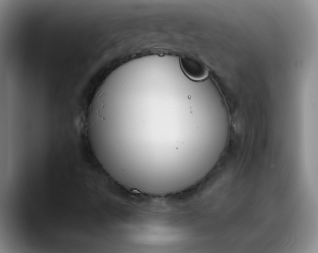 X0000089901495200707121839