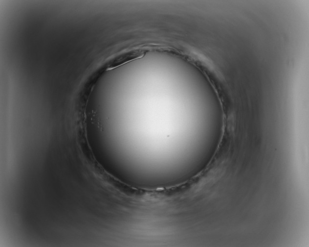 X0000089901496200707121839