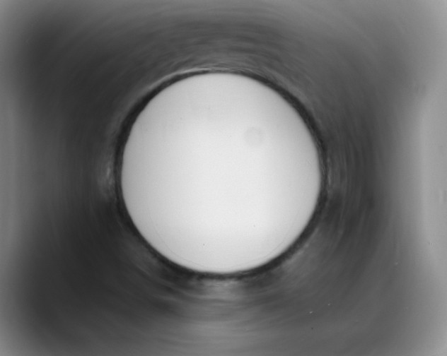 X0000089901498200707121839