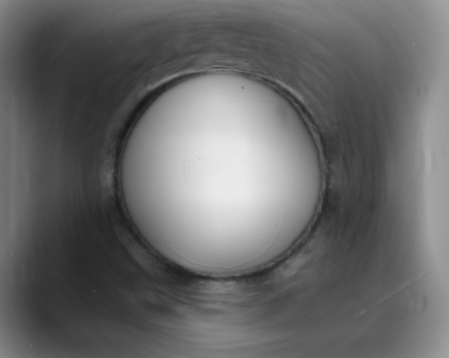 X0000089901499200707121839