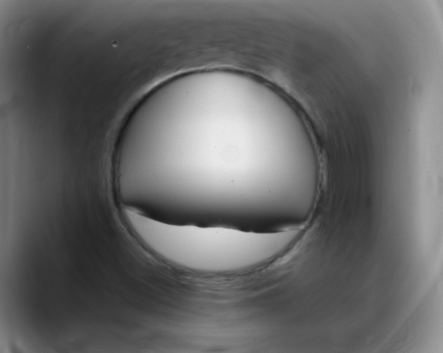 X0000089901500200707121840