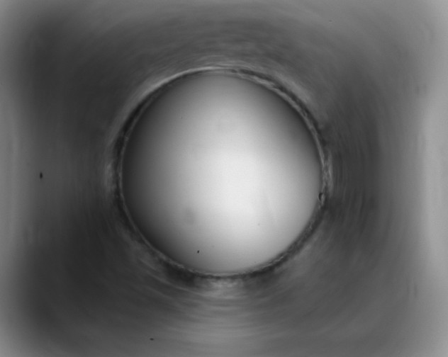 X0000089901501200707121840