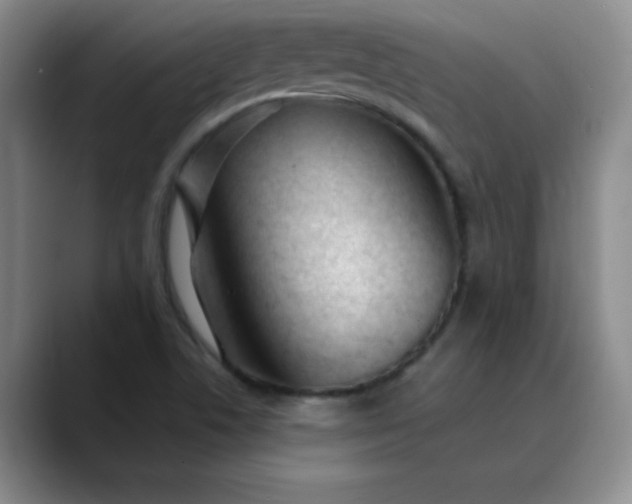 X0000089901506200707121840